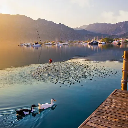 Losta Sahil Evi - Adults Only +12