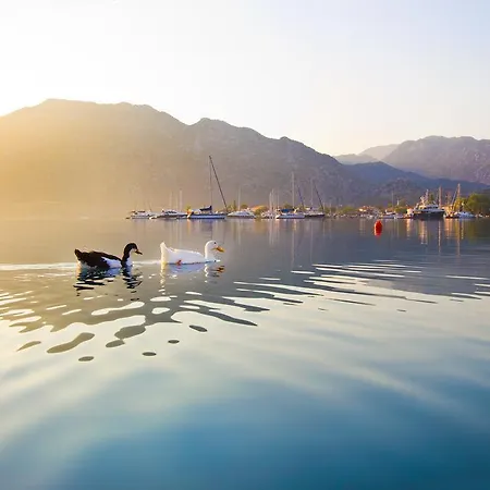 Losta Sahil Evi - Adults Only +12