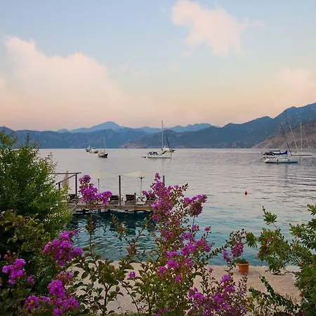 Konukevi Losta Sahil Evi - Adults Only +12