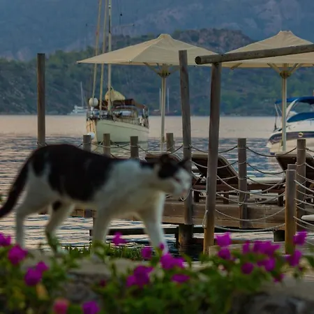 Losta Sahil Evi - Adults Only +12 Pensiune *