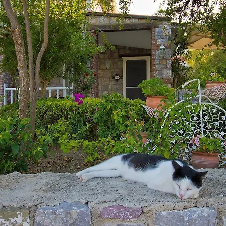 Losta Sahil Evi - Adults Only +12 Konukevi