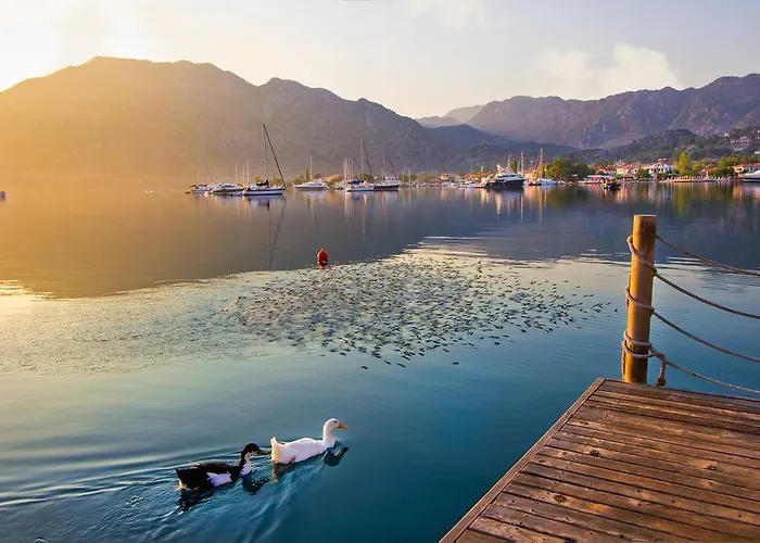 Losta Sahil Evi - Adults Only +12