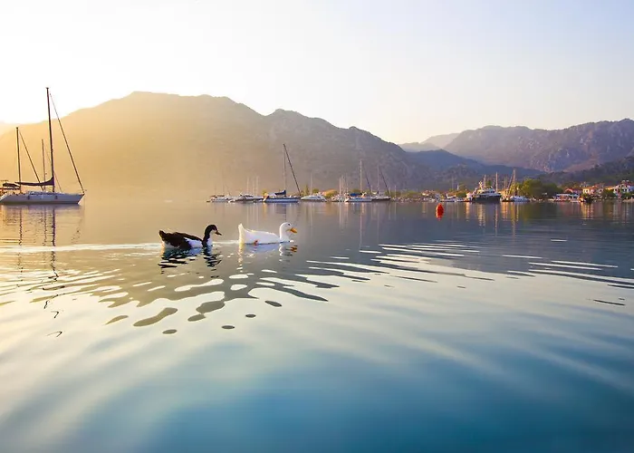 Losta Sahil Evi - Adults Only +12