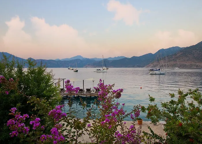 Πανσιόν Losta Sahil Evi - Adults Only +12