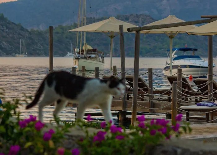 Losta Sahil Evi - Adults Only +12 Πανσιόν *