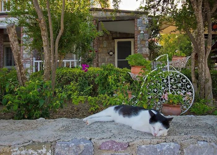 Losta Sahil Evi - Adults Only +12 Πανσιόν