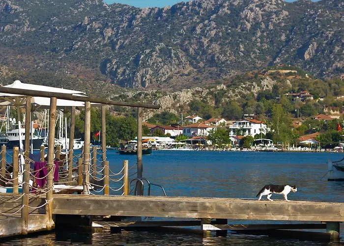 Πανσιόν Losta Sahil Evi - Adults Only +12 *